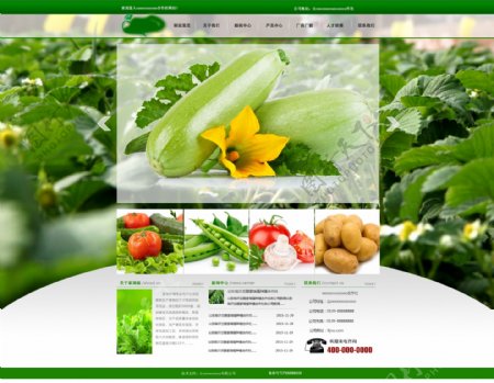 蔬果网站