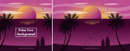 热带棕榈树剪影日落背景