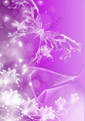 透明水蝴蝶紫色背景