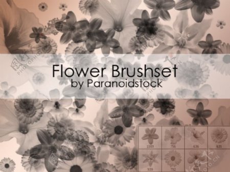 花brushset