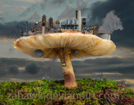 工业蘑菇