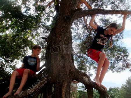 在树上的男孩和女孩