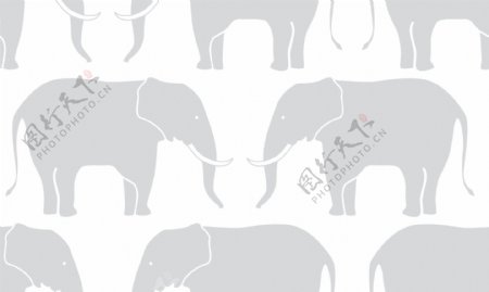 扁平大象动物背景
