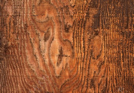 木材表面纹理39