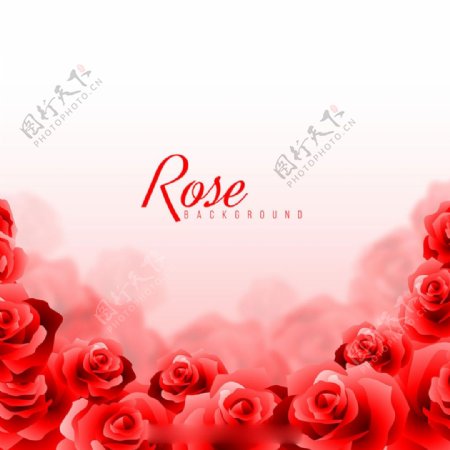 红色玫瑰模糊效果背景设计素材