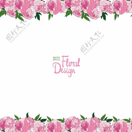 粉色鲜花背景边框