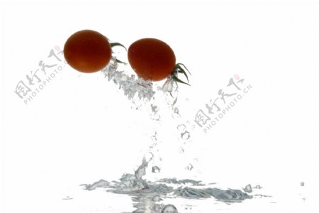 水滴和番茄