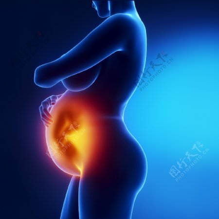 孕妇和胎儿图片