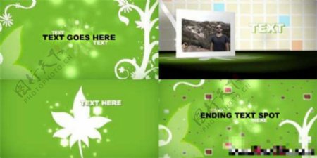 花纹生长动画中的图片视频展示AE模板