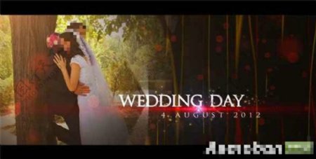 婚礼MV电子相册模板
