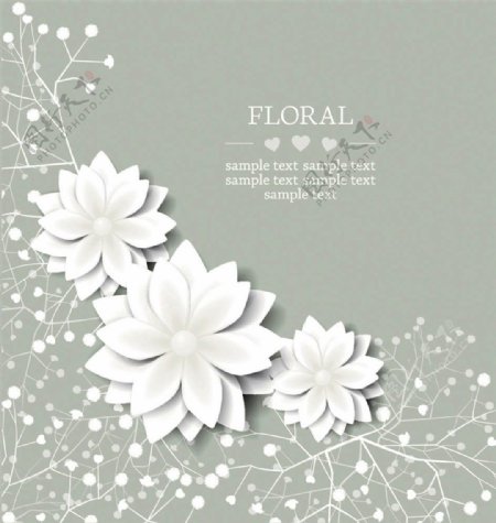 白色立体花朵背景图片