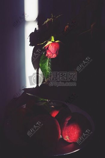 幽暗的玫瑰阴影