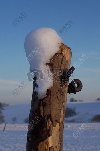 雪地里的木桩