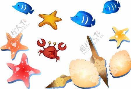 海底鱼和星星