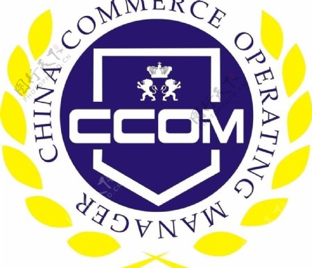 ccom中国经营师logo图片