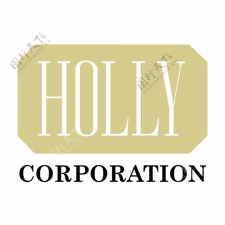 霍莉公司