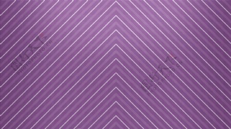 紫色花紋系列底版包