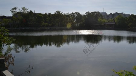 月湖夕照图片