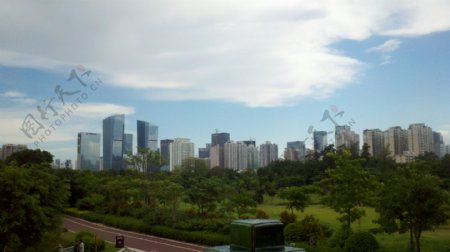 深圳中心公园图片