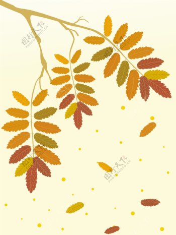 秋天的树的分支图