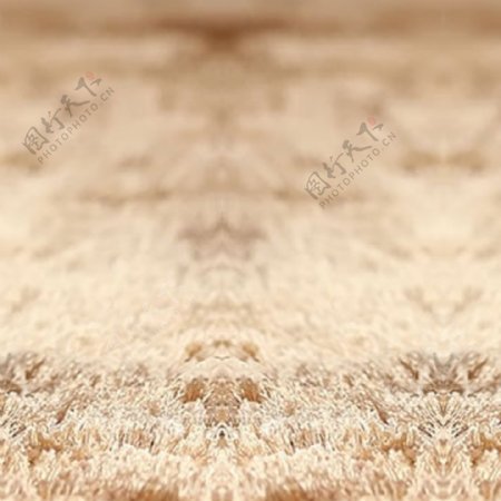 地毯首图