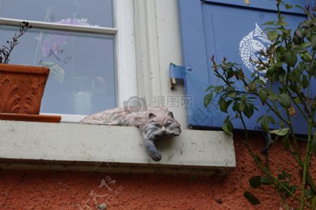 窗台上的老猫雕像