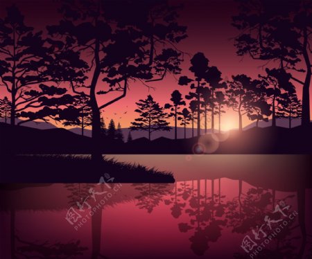 晨曦中的湖面和树木矢量