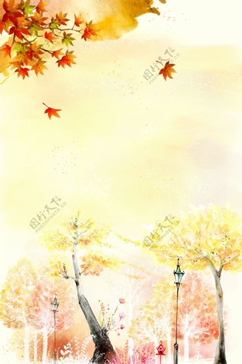 秋季落叶插画
