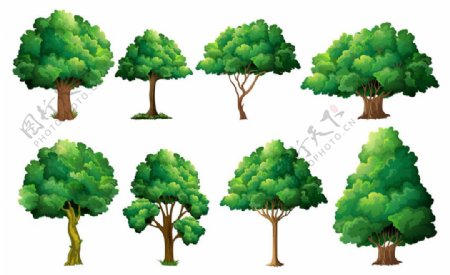 绿树树林图片