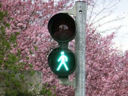 绿色的信号灯