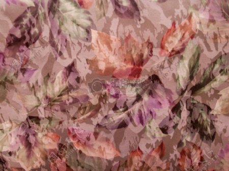 彩色花纹的挂毯