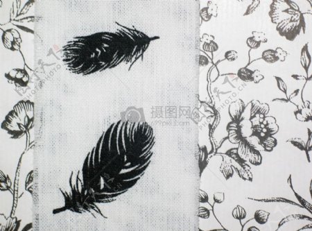 画在纸上的羽毛