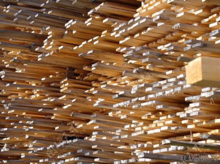密集堆放的木材
