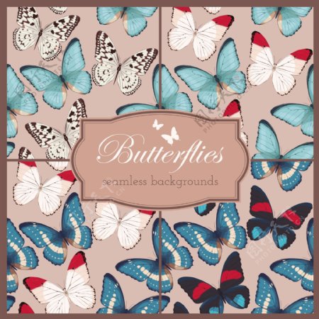 一群漂亮的蝴蝶背景模板