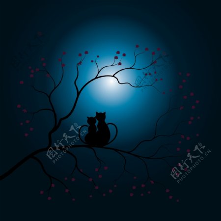月光下浪漫的小猫插画
