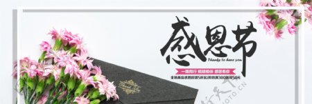 清新文艺感恩节促销淘宝banner