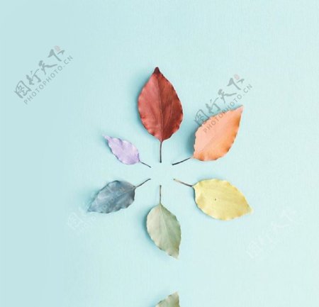 拼接彩色树叶创意主图