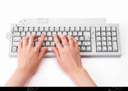 手手的表情手势手的姿势键盘