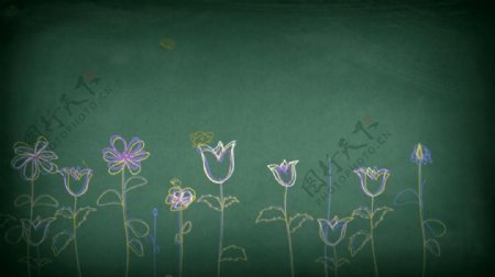 黑板上粉笔花卉视频素材