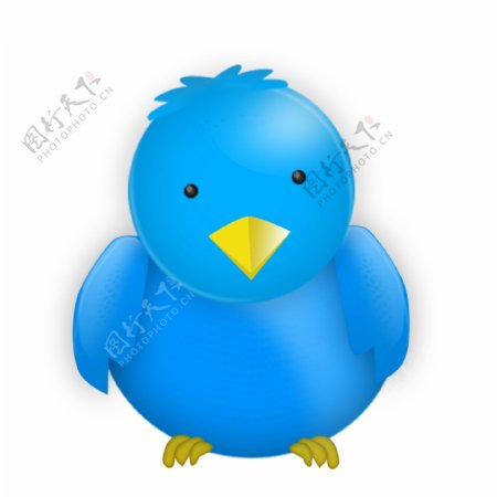 蓝色小鸟icon图标设计
