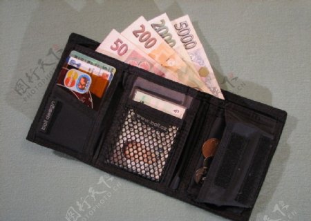 钱包和信用卡