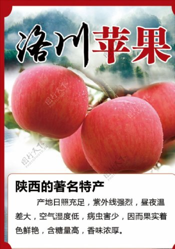 洛川苹果A4
