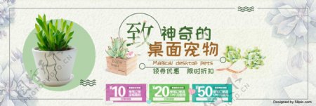 淡黄色多肉植物桌面宠物促销淘宝天猫海报banner