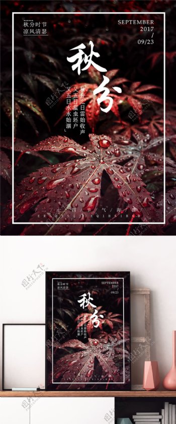中国传统节日二十四节气秋分微信配图海报