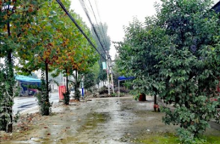 下雨天的乡村街道