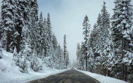 冬日里的道路风景