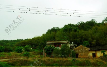 乡村山水电线群鸟