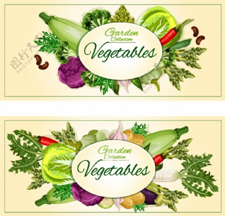 蔬菜横幅