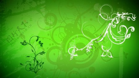 绿色清新花纹装饰背景视频素材