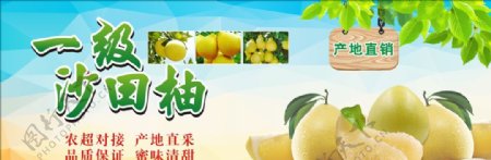柚子海报生鲜水果